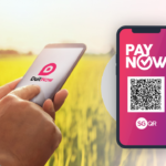 duitnow paynow