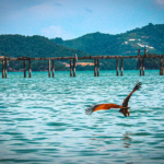 Langkawi Island