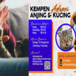 dog and cat adoption campaign