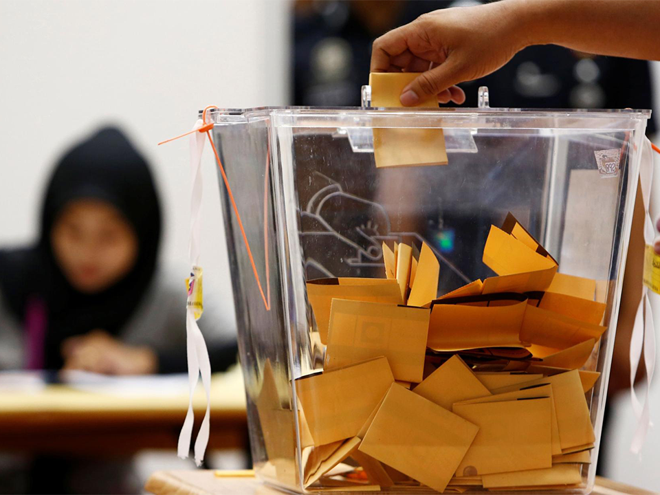 Review Details Via SPPA Before Automatic Registration As Voter for election
