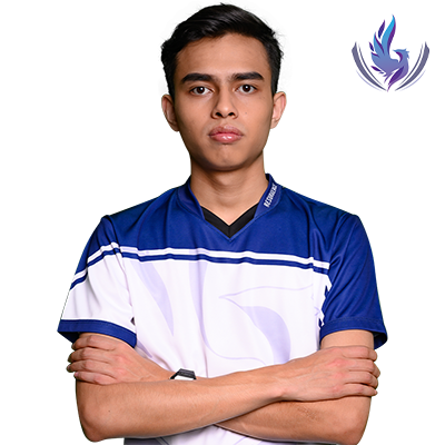 Muhammad Mukhriz Lutfi Fariq Adlan, e-sports player