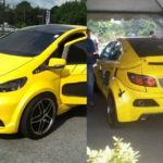 Proton Shark
