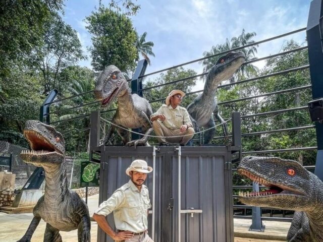 hybrid zoo