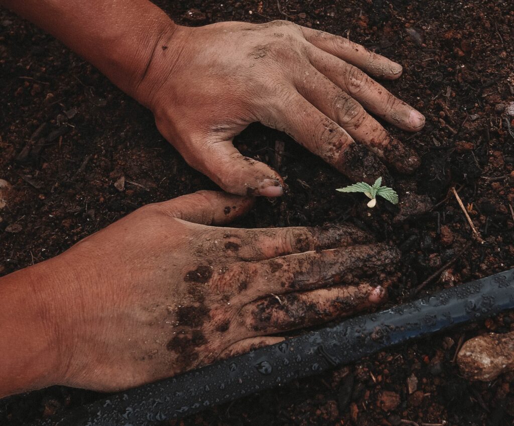 Agropreneurs