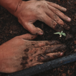Agropreneurs Feature Image