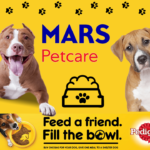Pedigree help shelter dogs and strays through its initiative.