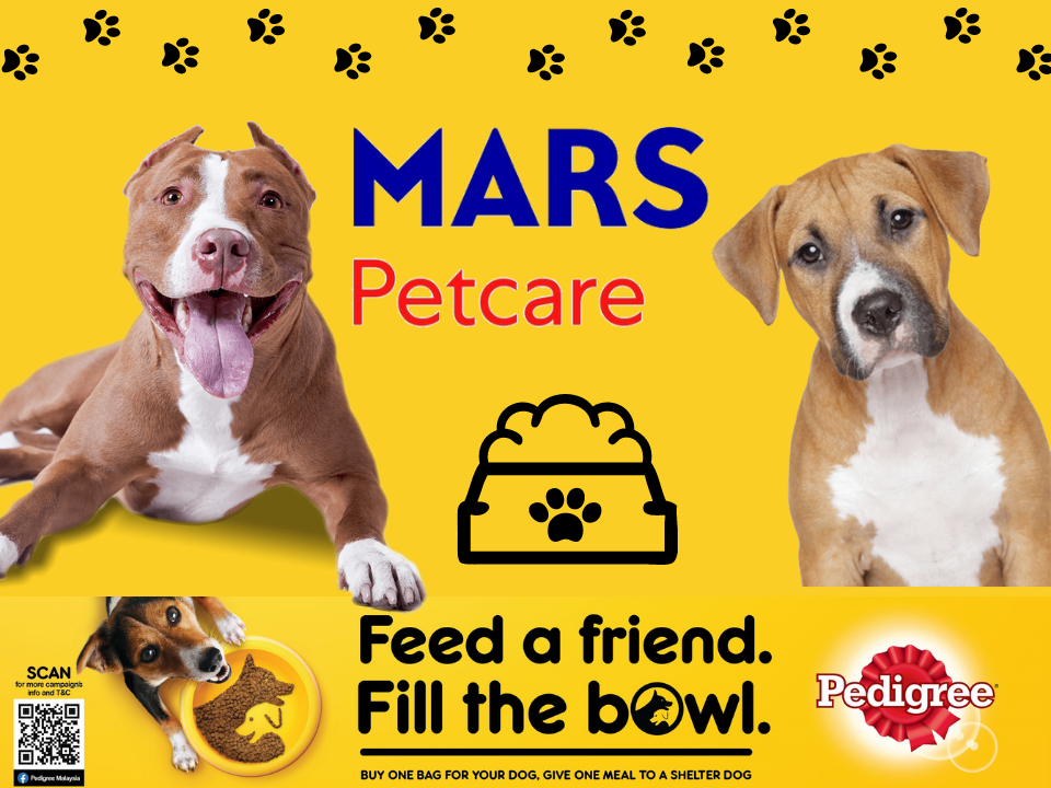 Pedigree help shelter dogs and strays through its initiative.