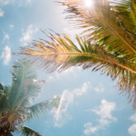 Environment friendly ways to cool down