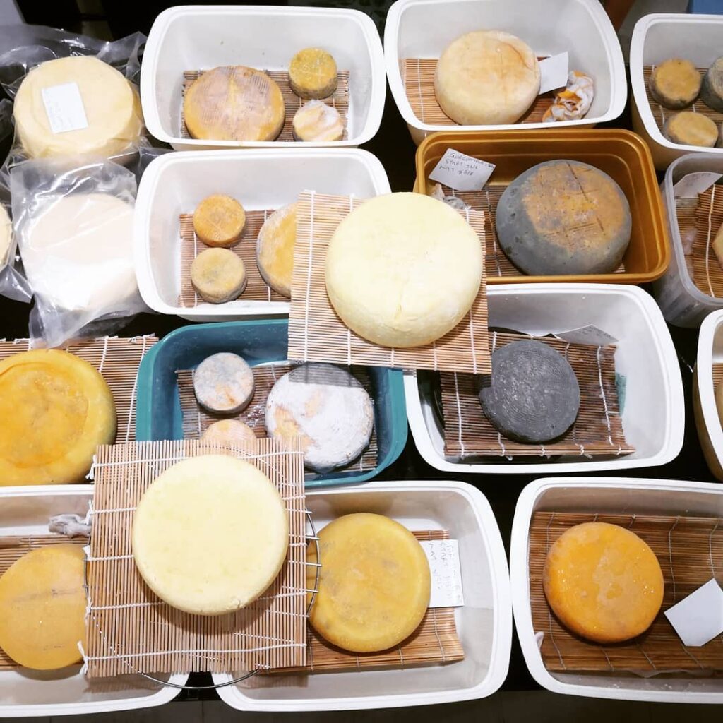 Malaysia Artisan Cheese | There's No Local Style Cheese That Can’t Be Made