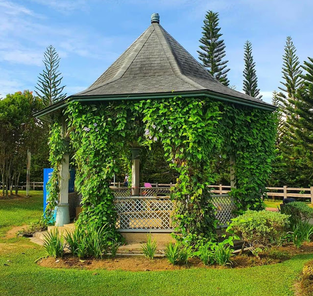 English garden, Bustan Inggeris at Taman Saujana Hijau by RiseMalaysia