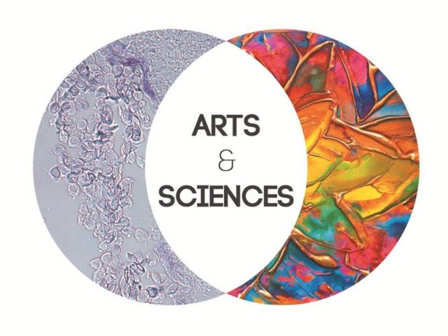 Science vs Art