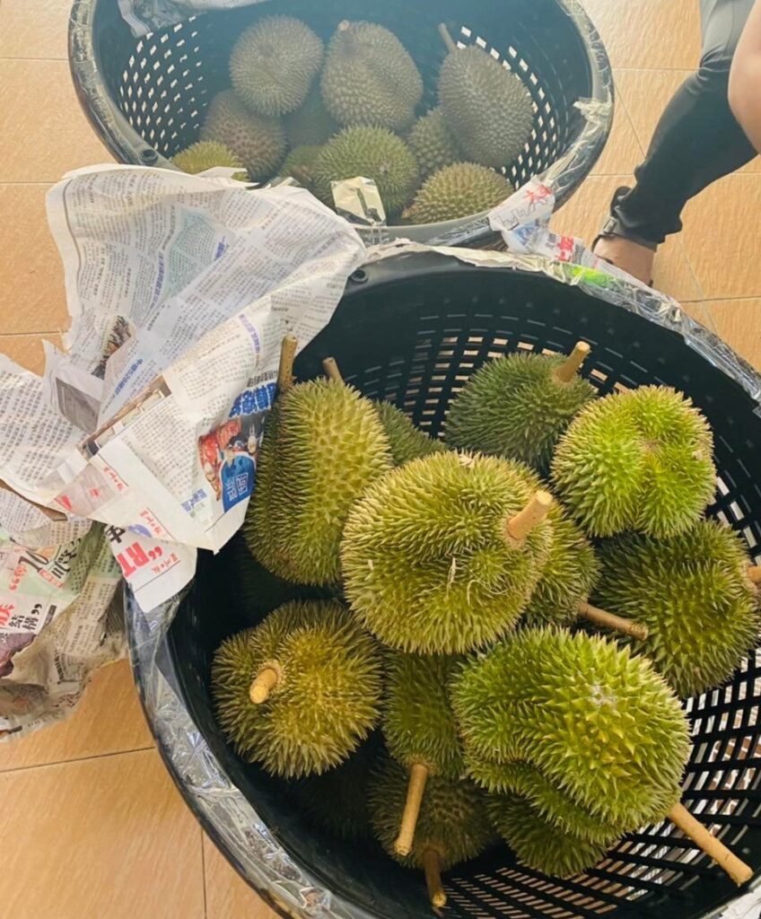 durian buffet 2022