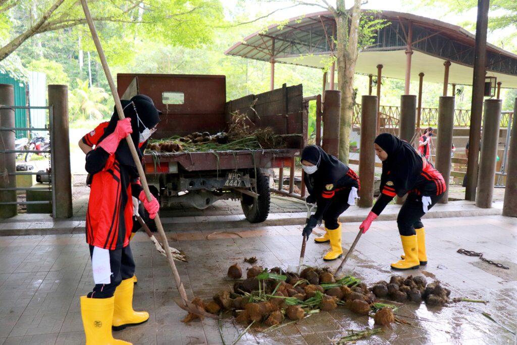 MR.DIY Cares volunteers at Kuala Gandah National Elephant Conservation Centre