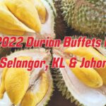 2022 durian bufffets in Selangor, KL and Johor