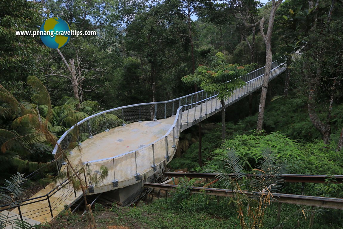 Langur Way Canopy Walk