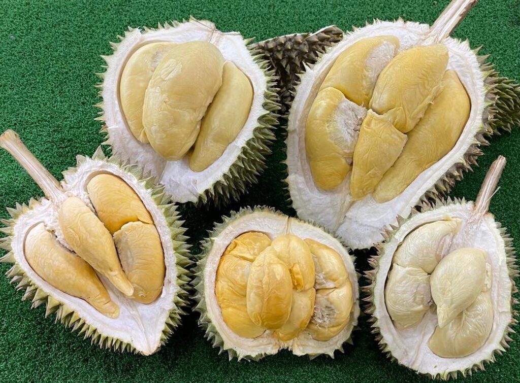 Durian buffet at Sk6363 Durian Stall by RiseMalaysia