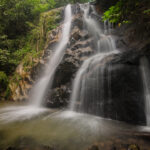 Kuala Selangor Nature Park