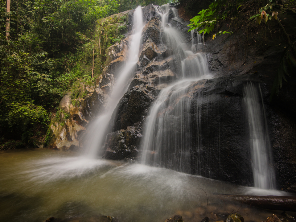 Kuala Selangor Nature Park