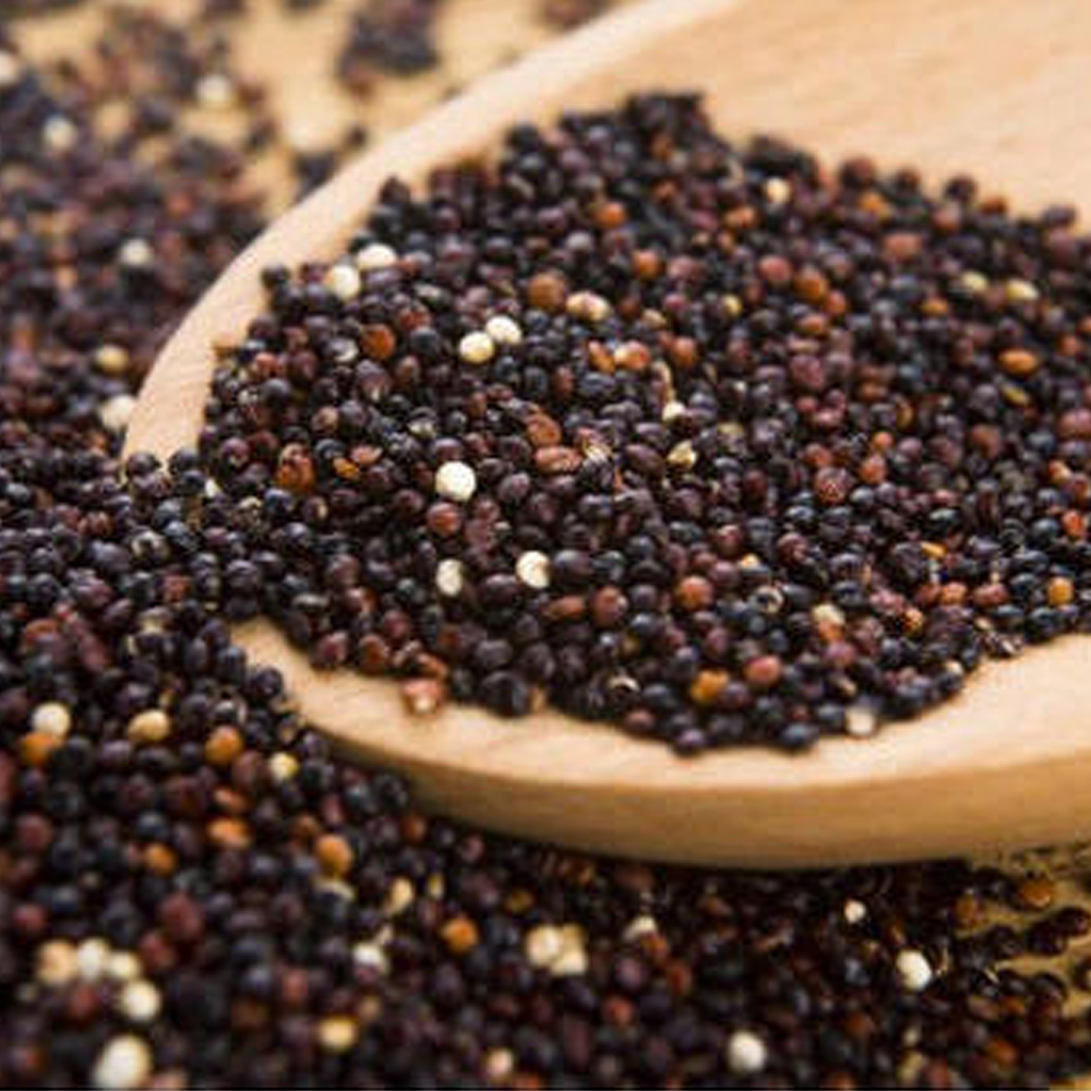 Black quinoa