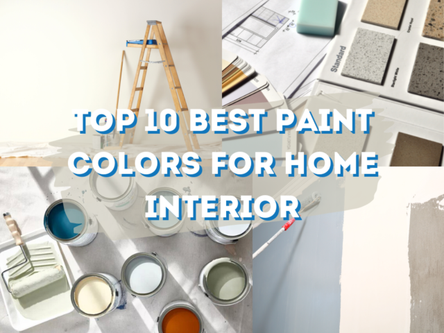 Best Paint Colors Home Interior