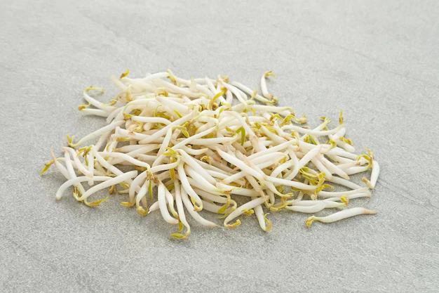 Bean Sprouts Superfoods