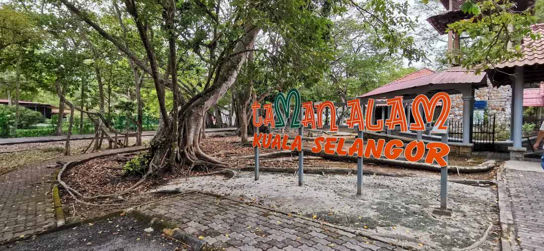 Kuala Selangor Nature Park