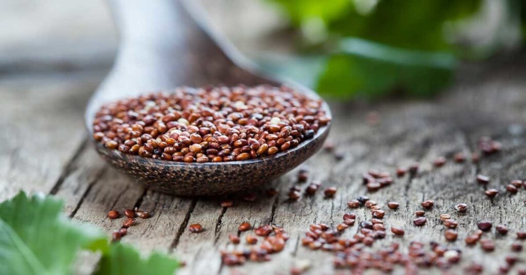 Red quinoa