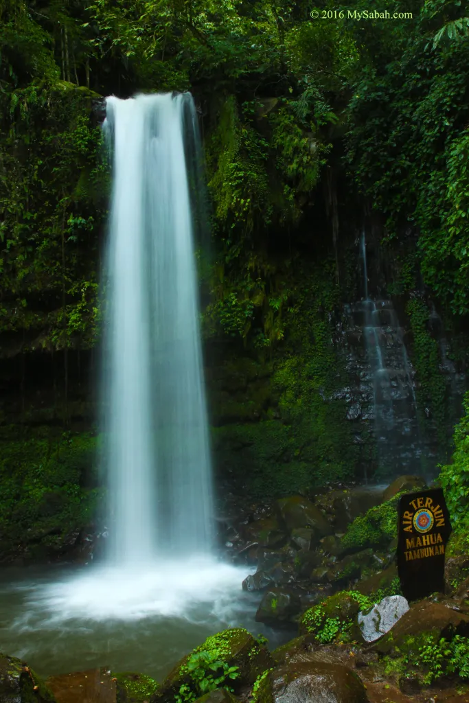 Mahua Waterfall_1