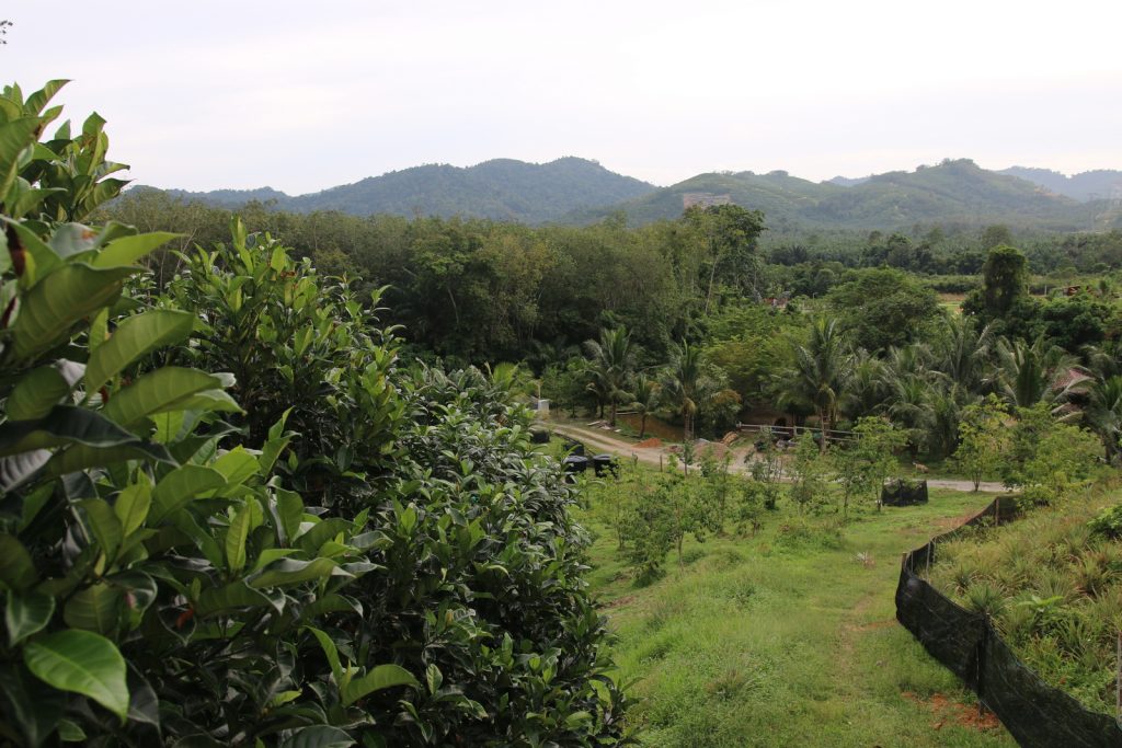 Jelatok Retreat Farm