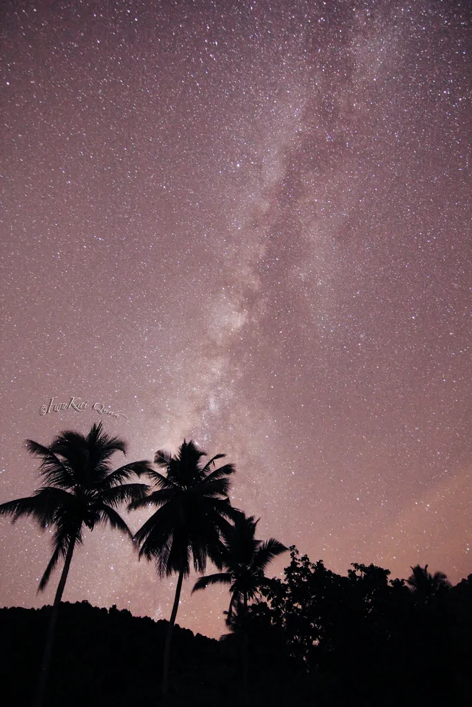 Penang National Park, a spot for stargazing in Malaysia