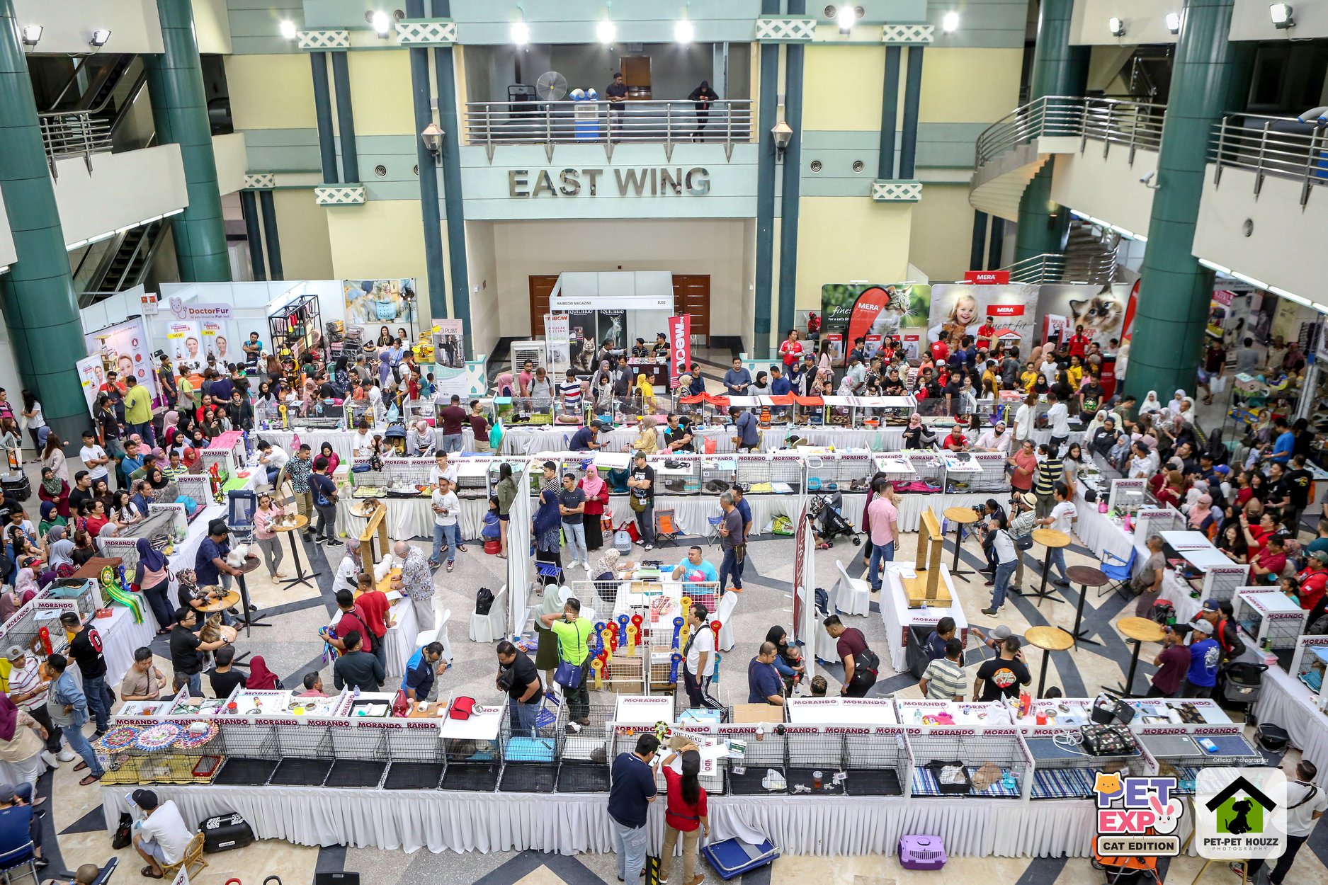 Cat Expo 2022, The Big Cat Fair In Malaysia Is Happening This Weekend