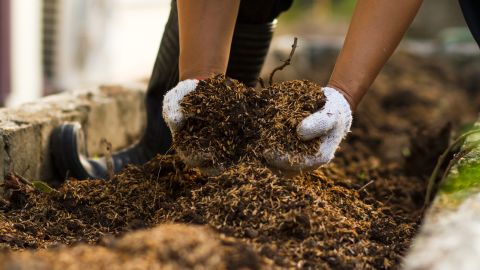 compost