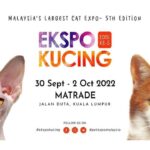 ekspo kucing, cat expo 2022 malaysia