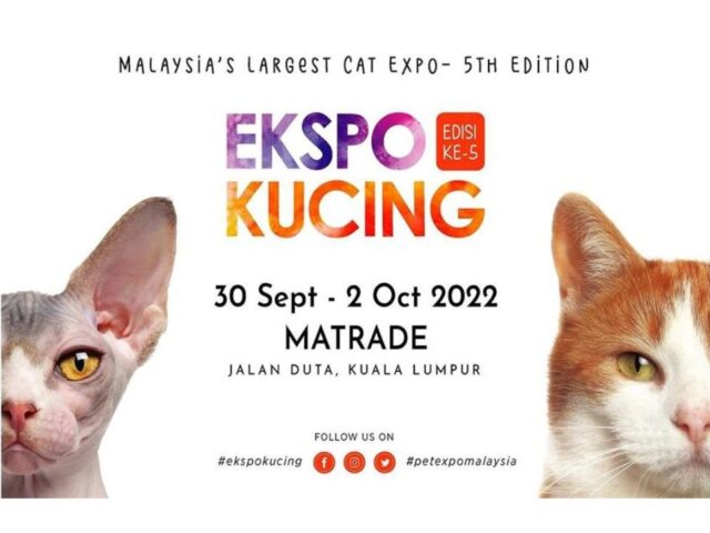 ekspo kucing, cat expo 2022 malaysia