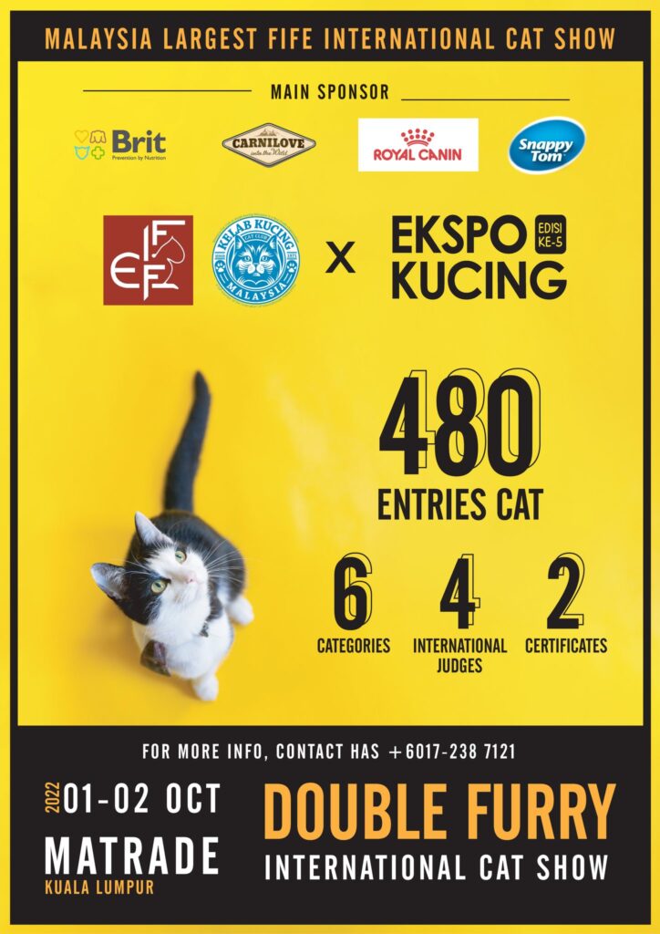 FIFE Cat Competition, cat expo 2022 malaysia