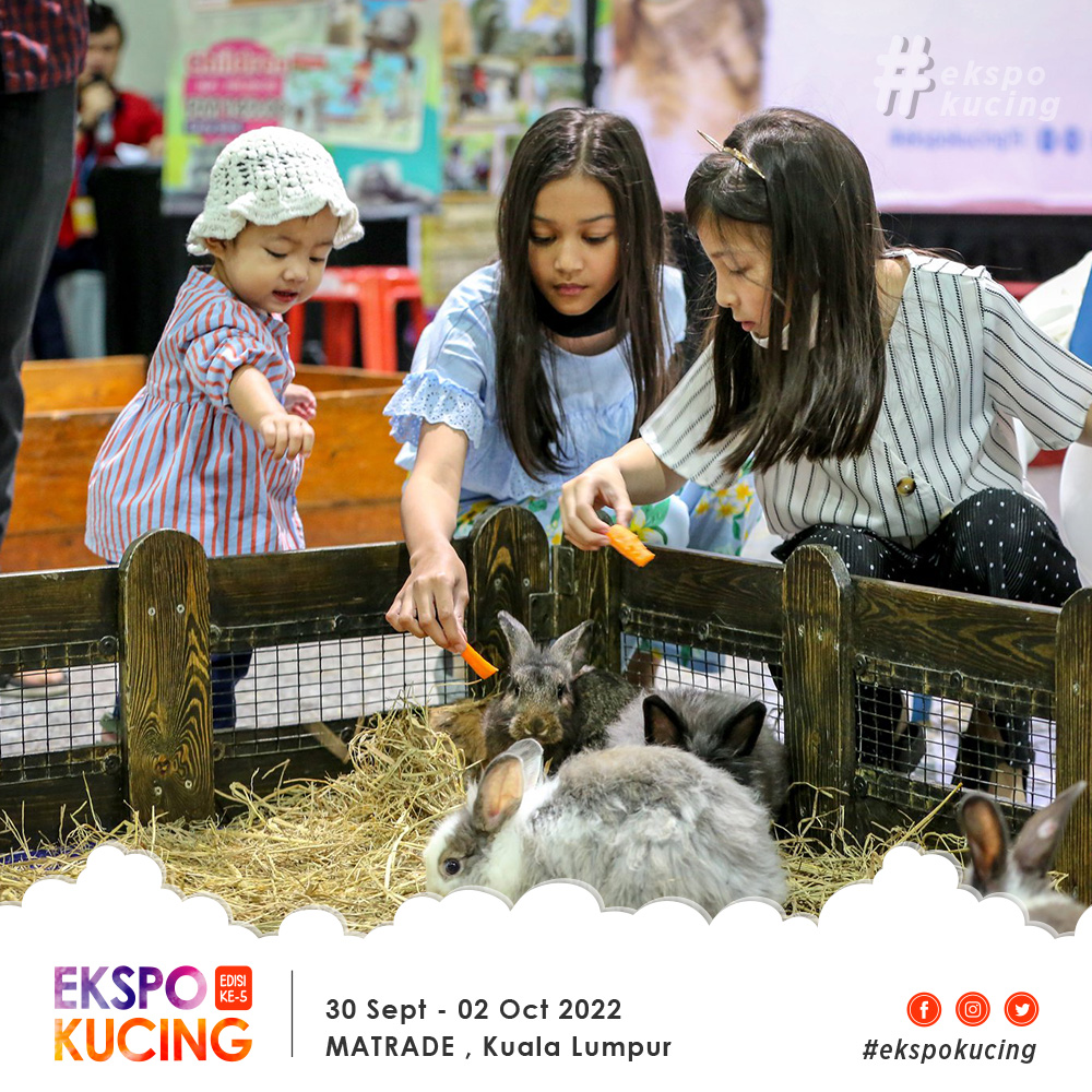 petting zoo, cat expo 2022 malaysia