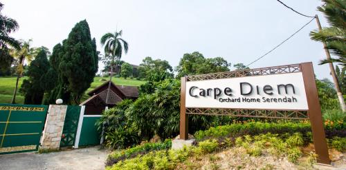 carpe diem orchard home, family staycation
