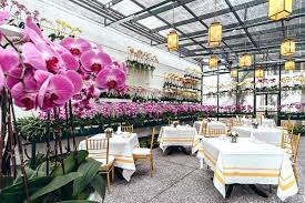 The Orchid Conservatory, hi tea in kl