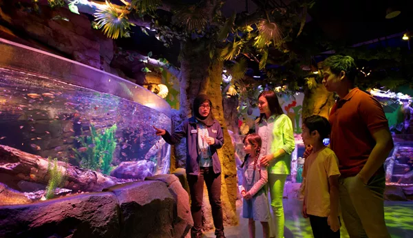 sea life aquarium