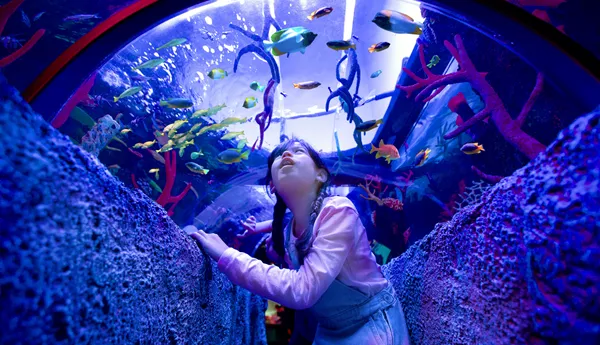sea life aquarium, legoland malaysia rides