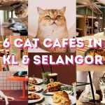 6 Cat Cafes In KL and Selangor