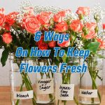 6 Ways On How To Keep Flowers Fresh