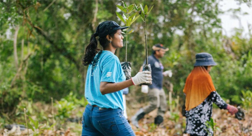 Connected Mangroves Project Malaysia Is Being Featured In BBC