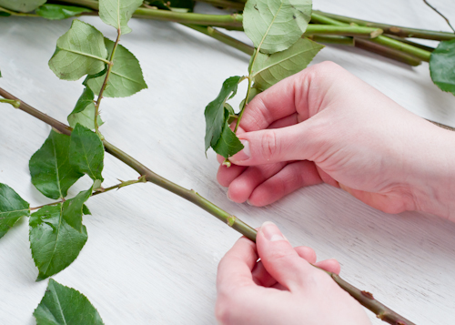 how to keep flowers fresh