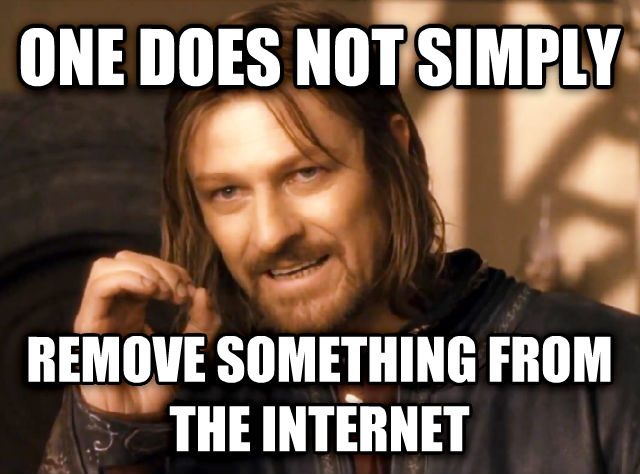 internet is forever meme - protect your digital footprint