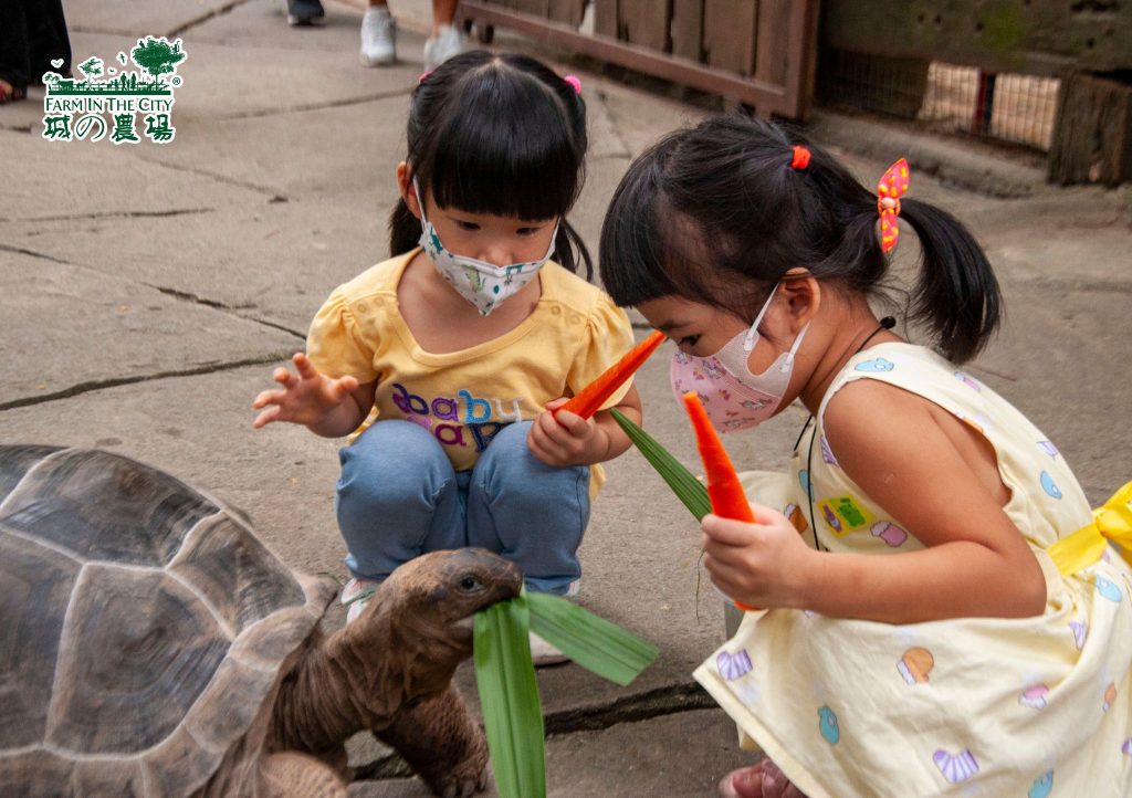 Farm in the city - kids feeding the turtle