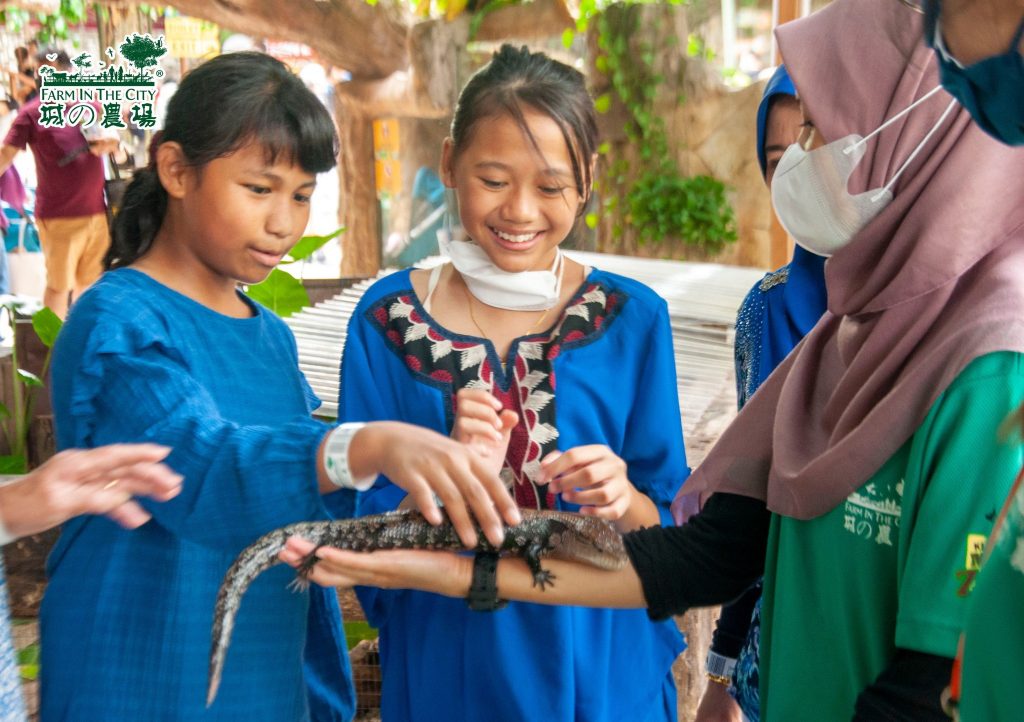 farm in the city - girls holding one of the reptiles