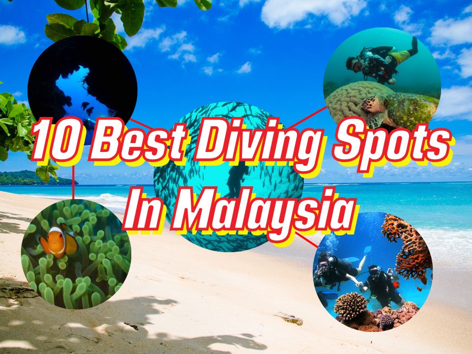 best diving spots in Malaysia
