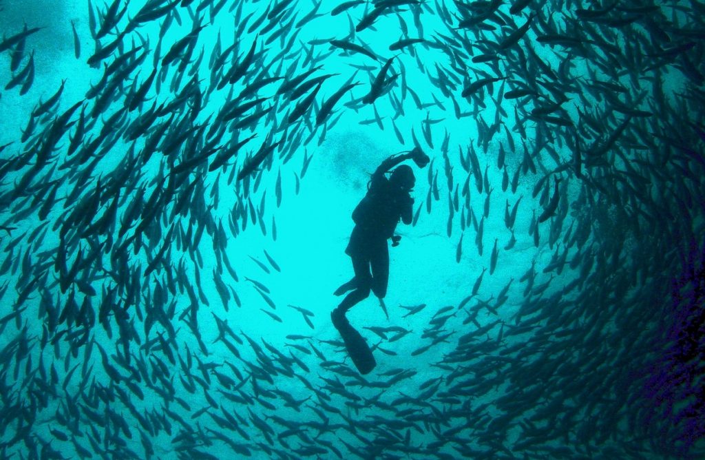 sipadan island - best diving spots in Malaysia