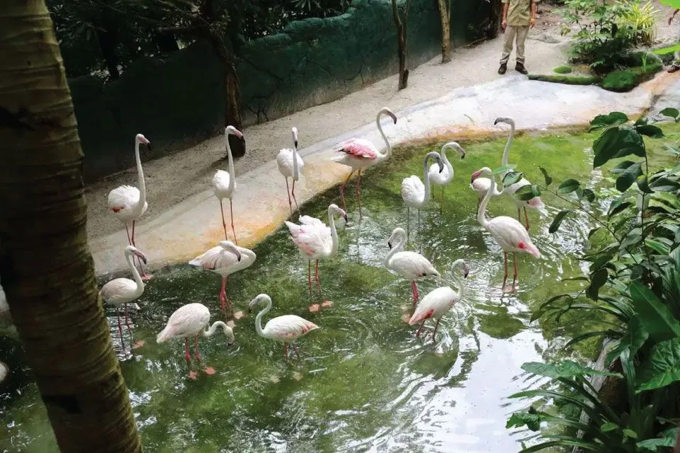 Sunway wildlife zoo - top zoos in Malaysia